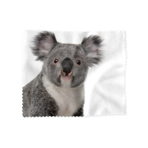 Lens Cloth Animals Koala