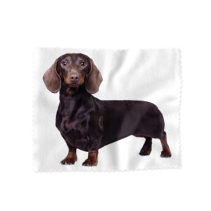 Lens Cloth Animals Dachshund