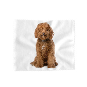 Lens Cloth Animals Labradoodle