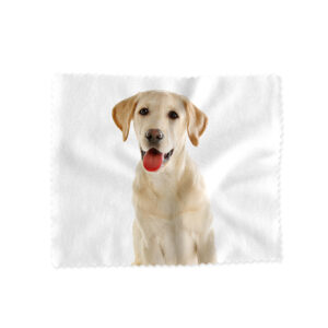 Lens Cloth Animals Labrador