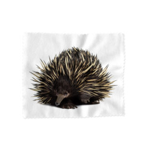 Lens Cloth Animals Echidna