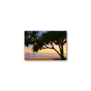 Magnet Gallery Standard Noosa Beach Sunset