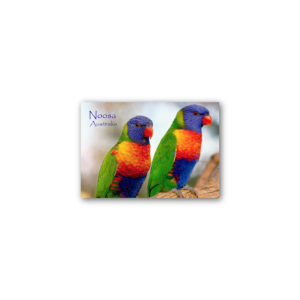 Magnet Gallery Standard Noosa Crimson Rosella