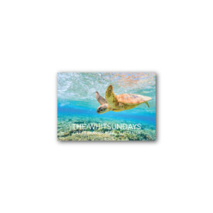 Magnet Gallery Standard The Whitsundays Turtle