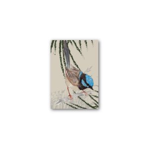 Magnet Gallery Standard Grasslands Blue Wren Single