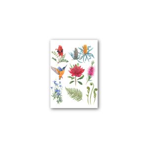 Magnet Gallery Standard Australian Wildflowers