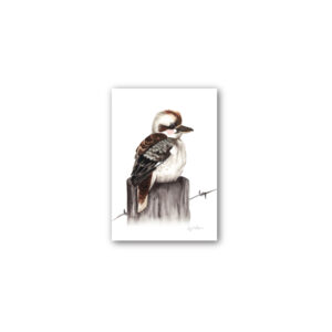 Magnet Gallery Standard Fig Hill Farm Kit Kookaburra