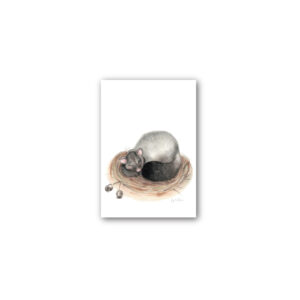 Magnet Gallery Standard Fig Hill Farm Peggie Possum