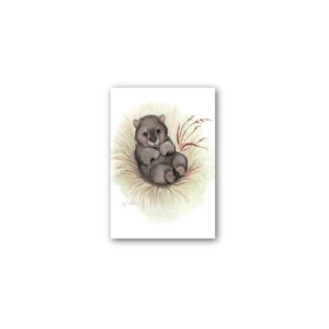 Magnet Gallery Standard Fig Hill Farm Walter Wombat