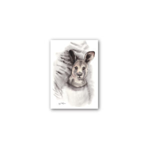Magnet Gallery Standard Fig Hill Farm Kangaroo