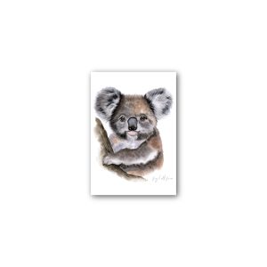 Magnet Gallery Standard Fig Hill Farm Kev Koala