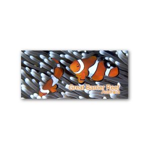Magnet Gallery Panoramic GBR Clown Fish in Anemone