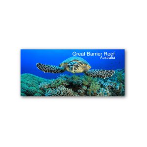 Magnet Gallery Panoramic GBR Turtle