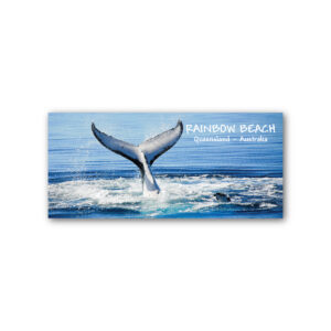 Magnet Gallery Panoramic Rainbow Beach Whale