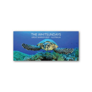 Magnet Gallery Panoramic The Whitsundays Turtle