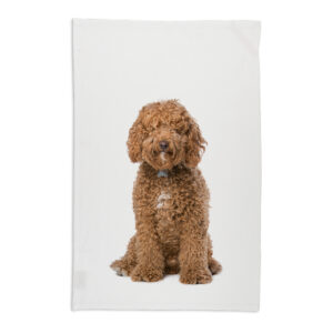 Tea Towel Organic Cotton White Labradoodle