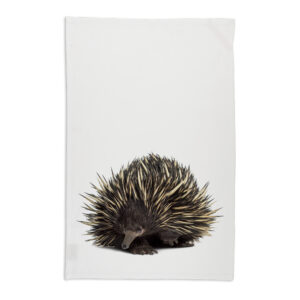 Tea Towel Organic Cotton White Echidna