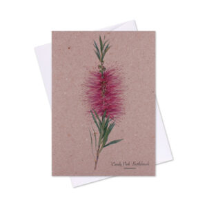 Greeting Card Bottlebrush