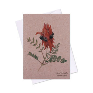 Greeting Card Sturt's Desert Pea