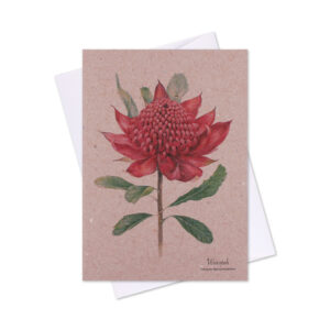 Greeting Card Waratah Natural
