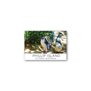 Magnet Gallery Standard Phillip Island Penguins
