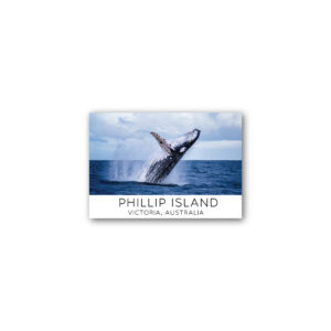 Magnet Gallery Standard Phillip Island Whale