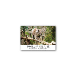 Magnet Gallery Standard Phillip Island Koala