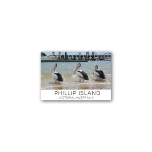 Magnet Gallery Standard Phillip Island Pelicans