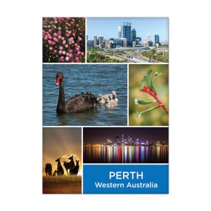 Tea Towel Microfibre Perth Composite