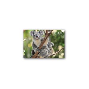 Magnet Gallery Standard Adelaide Koala