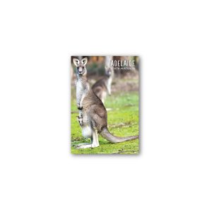 Magnet Gallery Standard Adelaide Kangaroo