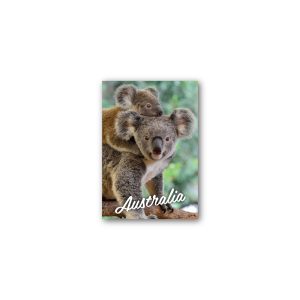 Magnet Gallery Standard Australia Koala Vertical