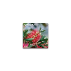 Ceramic Magnet Square Bottlebrush
