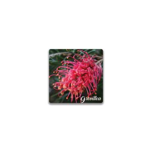 Ceramic Magnet Square Grevillea