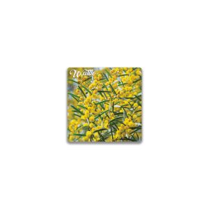 Ceramic Magnet Square Wattle