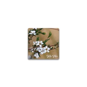 Ceramic Magnet Square Tea Tree