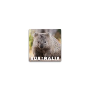 Ceramic Magnet Square Wombat