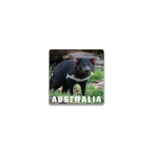 Ceramic Magnet Square Tasmanian Devil