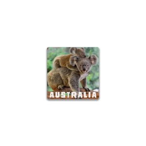 Ceramic Magnet Square Koalas