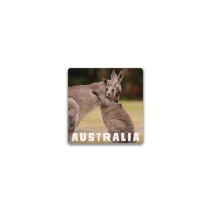 Ceramic Magnet Square Kangaroos
