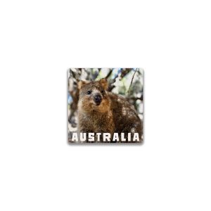 Ceramic Magnet Square Quokka