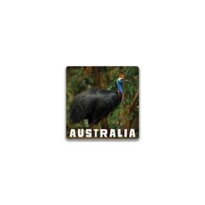 Ceramic Magnet Square Cassowary
