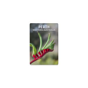 Ceramic Magnet Rectangle Perth Kangaroo Paw