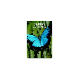 Ceramic Magnet Rectangle Cairns Ulysses Butterfly