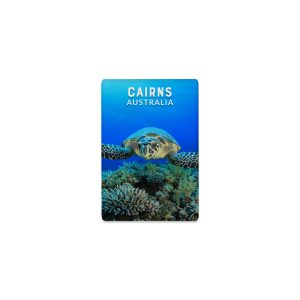 Ceramic Magnet Rectangle Cairns Turtle