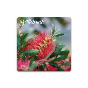 Ceramic Coaster Square Bottlebrush
