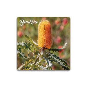 Ceramic Coaster Square Banksia