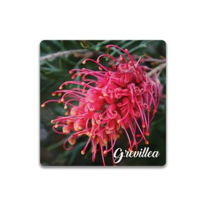 Ceramic Coaster Square Grevillea