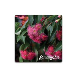 Ceramic Coaster Square Eucalyptus