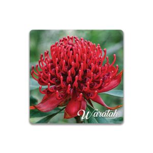 Ceramic Coaster Square Waratah